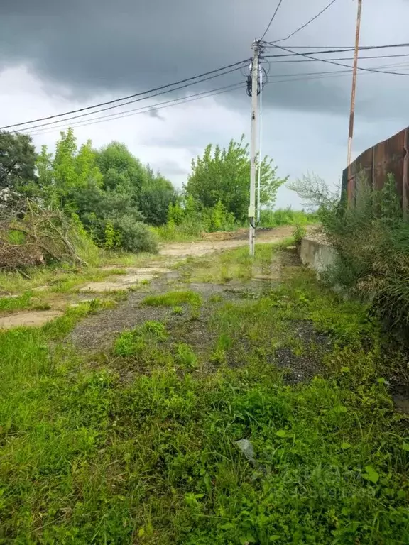 Участок в Московская область, Домодедово городской округ, д. Заболотье ... - Фото 2