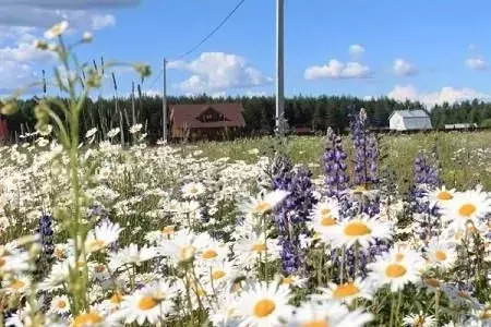 Участок в Владимирская область, Киржачский район, Горкинское ... - Фото 0