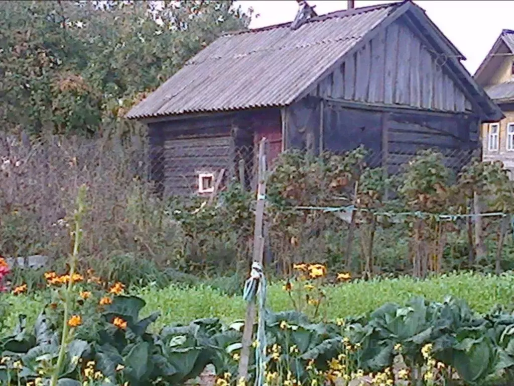 Дом в Ивановская область, Родниковский район, Филисовское с/пос, д. ... - Фото 1