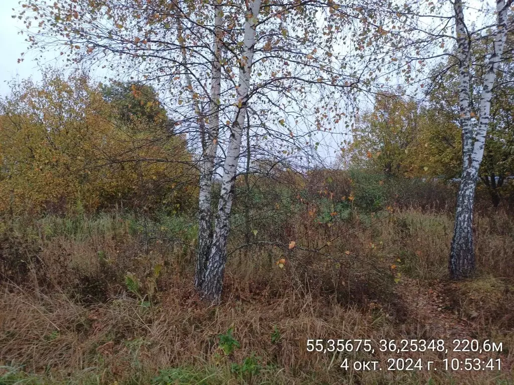 Участок в Московская область, Наро-Фоминский городской округ, д. ... - Фото 0