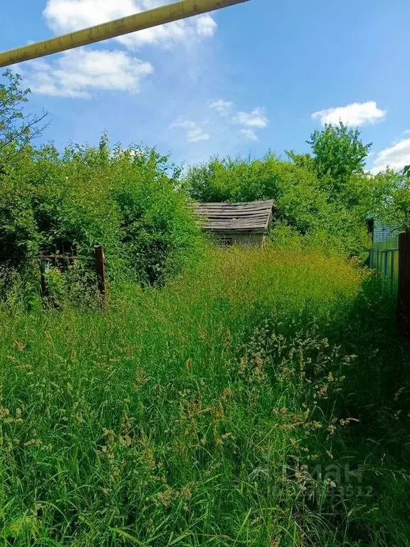 Участок в Нижегородская область, Богородский муниципальный округ, д. ... - Фото 1