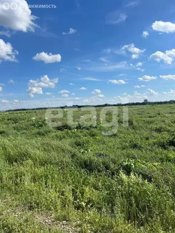 Участок в Тульская область, Новомосковск (31.3 м) - Фото 1