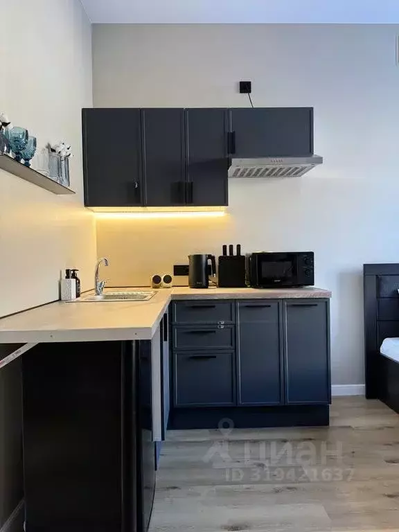 Студия Красноярский край, Красноярск ул. Бограда, 103 (22.0 м) - Фото 2