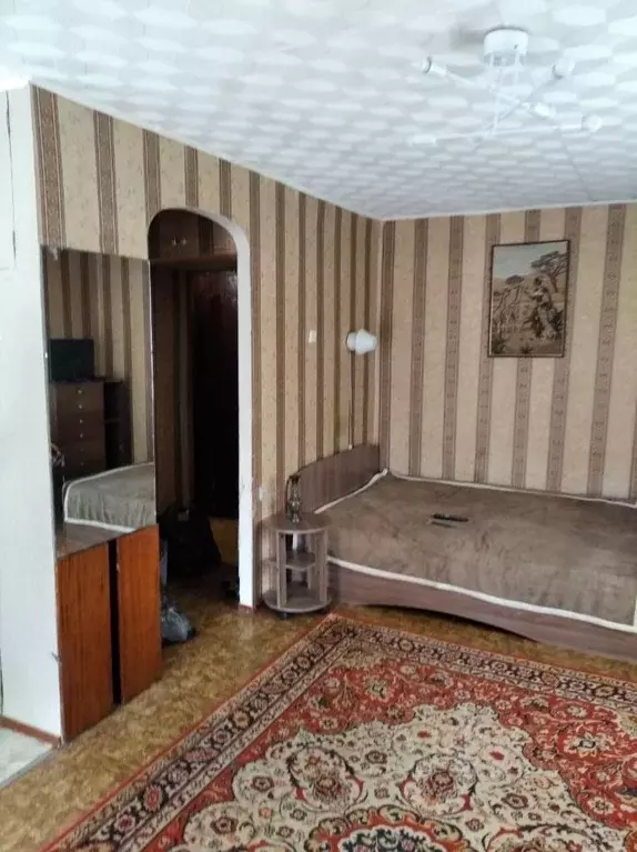 Студия Омская область, Омск ул. Чкалова, 33 (32.0 м) - Фото 1