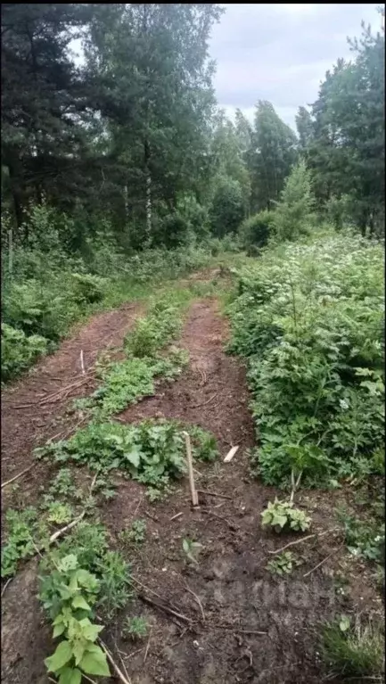 Участок в Ленинградская область, Всеволожский район, д. Юкки ул. ... - Фото 1