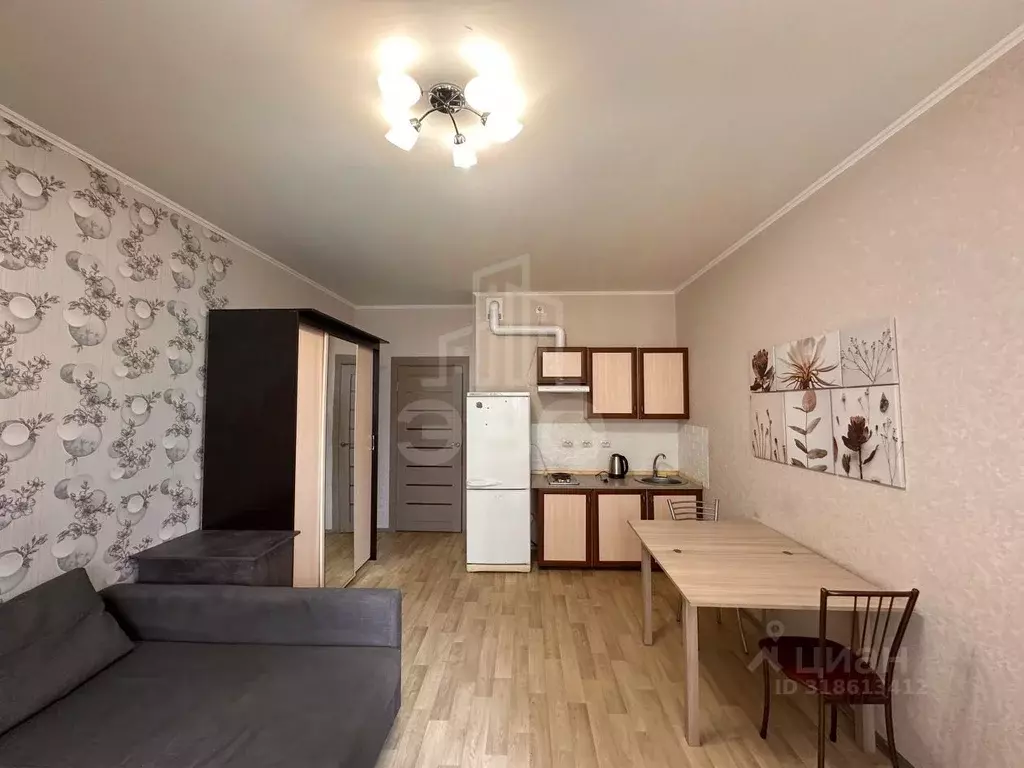 Студия Санкт-Петербург пос. Шушары, Школьная ул., 17 (25.0 м) - Фото 0