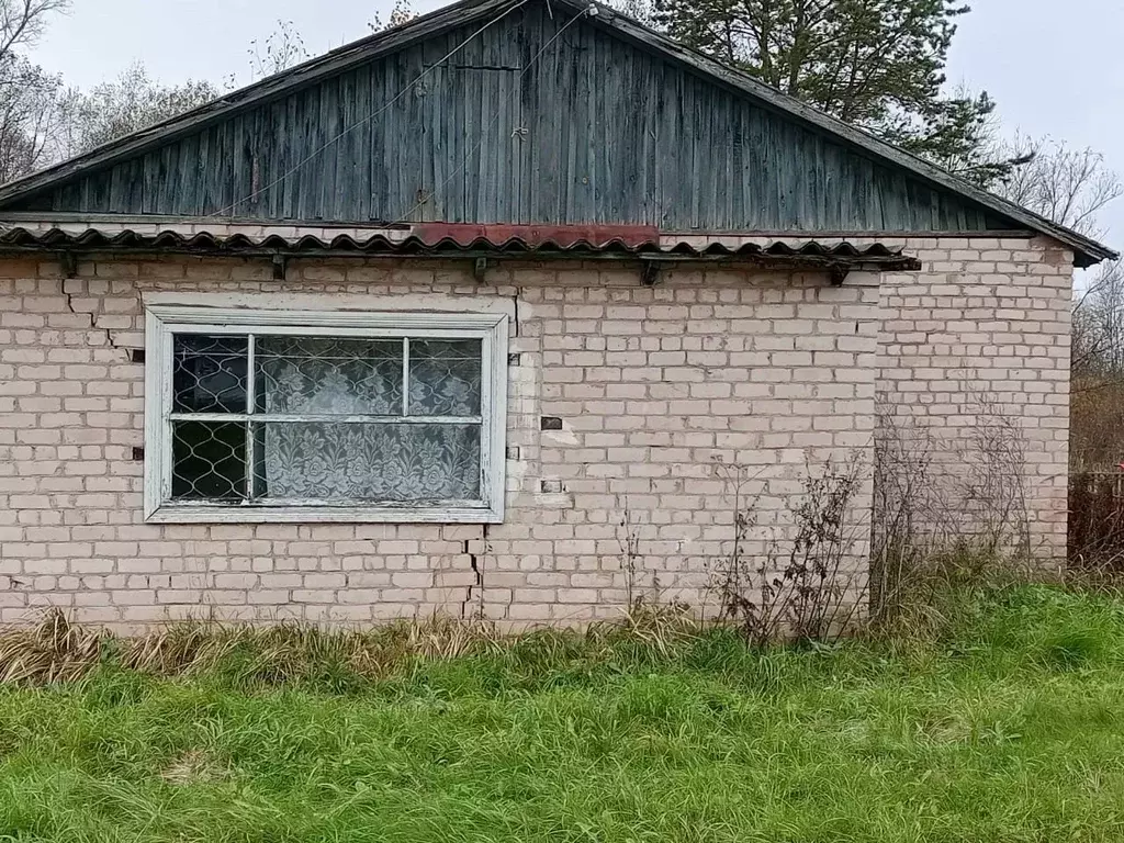 Помещение свободного назначения в Новгородская область, Старорусский ... - Фото 1