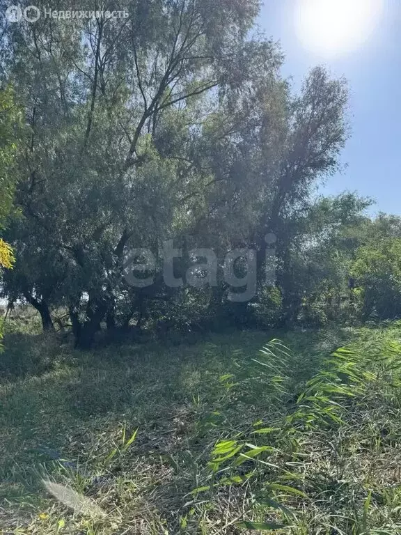 Участок в Тахтамукайский район, аул Козет (2118 м) - Фото 2