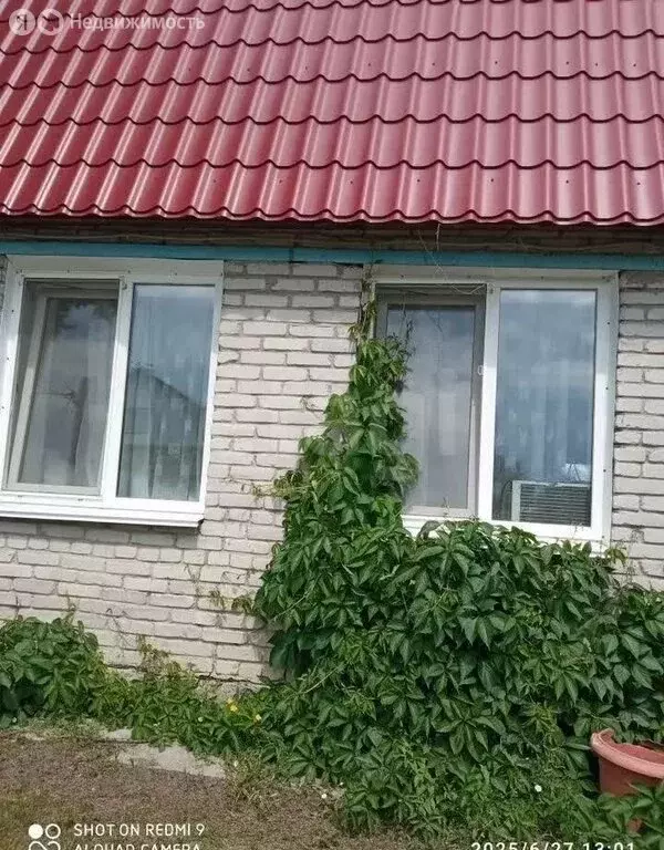 Дом в Курган, садоводческий кооператив Тимирязевец (37.1 м) - Фото 2