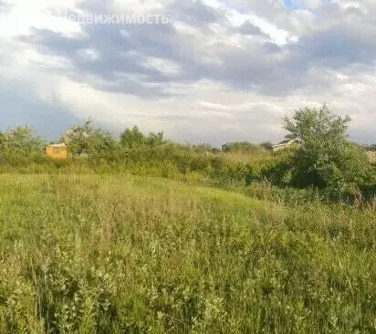 Участок в Бессоновский район, село Мастиновка (6 м) - Фото 0