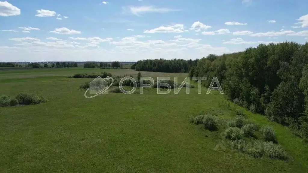 Участок в Тюменская область, Тюменский район, д. Елань Васильковая ... - Фото 1