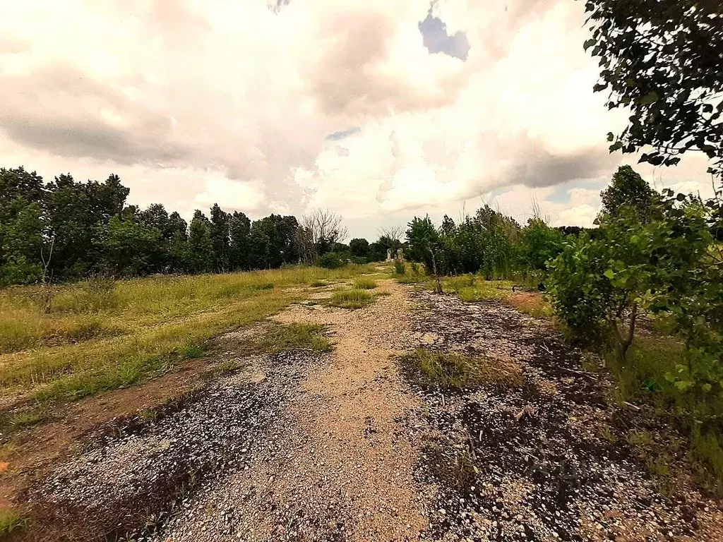 Участок в Крым, Евпатория ул. Эскадронная (900.0 сот.) - Фото 1