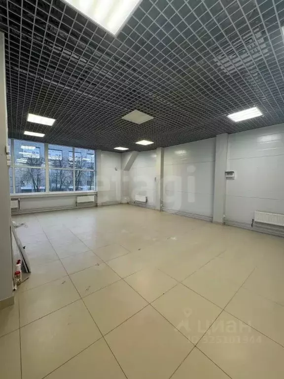 Торговая площадь в Псковская область, Псков ул. Яна Фабрициуса, 5В (75 ... - Фото 1