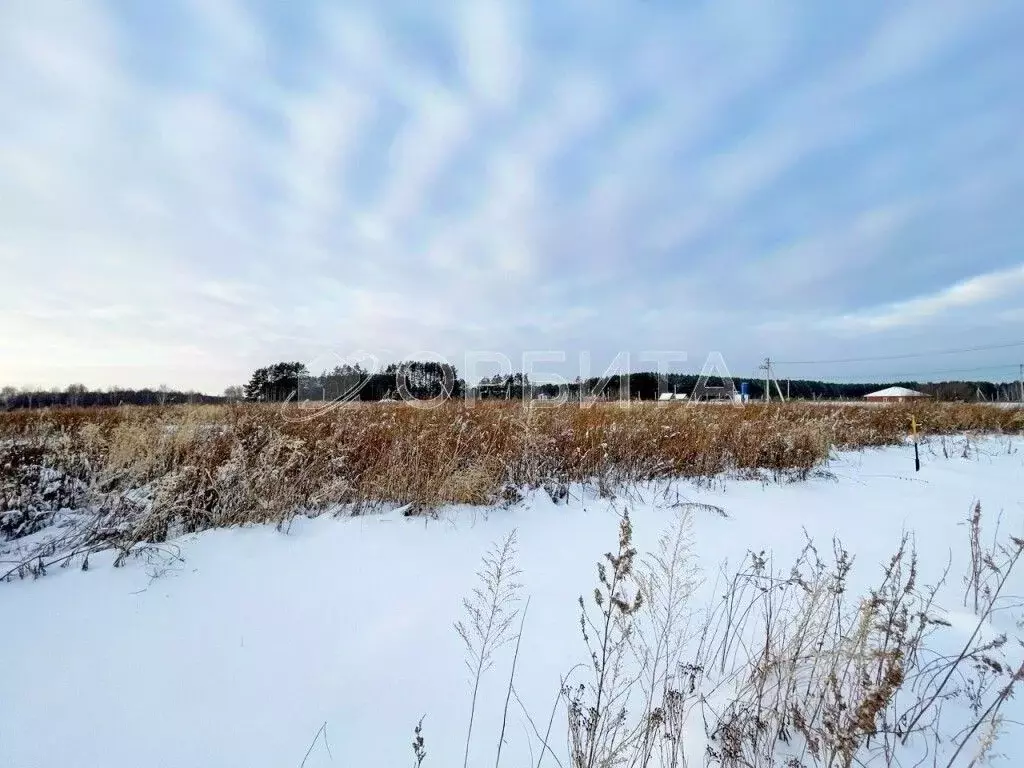 Участок в Тюменская область, Тюменский муниципальный округ, с. Каменка ... - Фото 2
