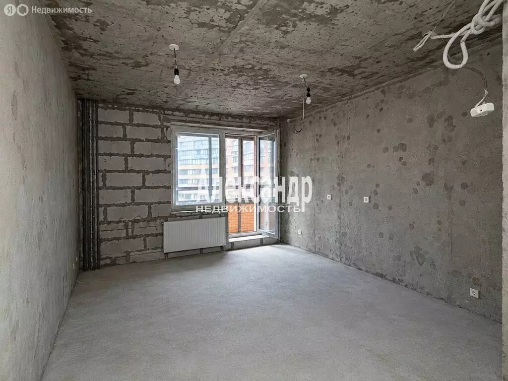 Квартира-студия: Санкт-Петербург, Дворцовая набережная, 38 (20.2 м) - Фото 1