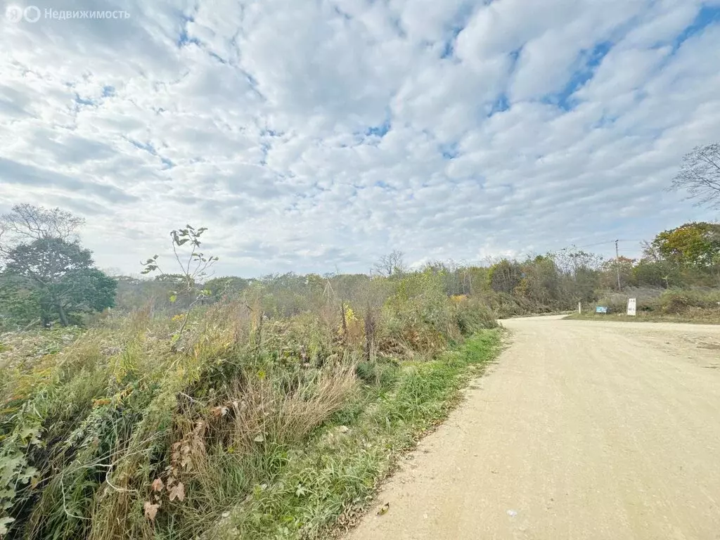 Участок в Приморский край, Партизанский муниципальный округ, СНТ Марс, ... - Фото 2