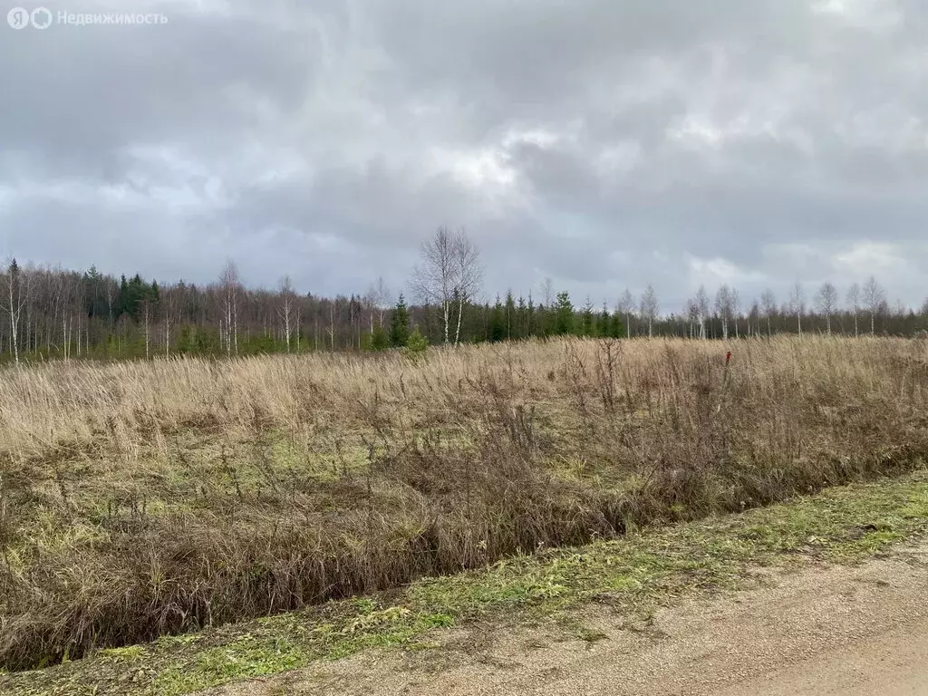 Дом в Александровский район, муниципальное образование Каринское, ... - Фото 1