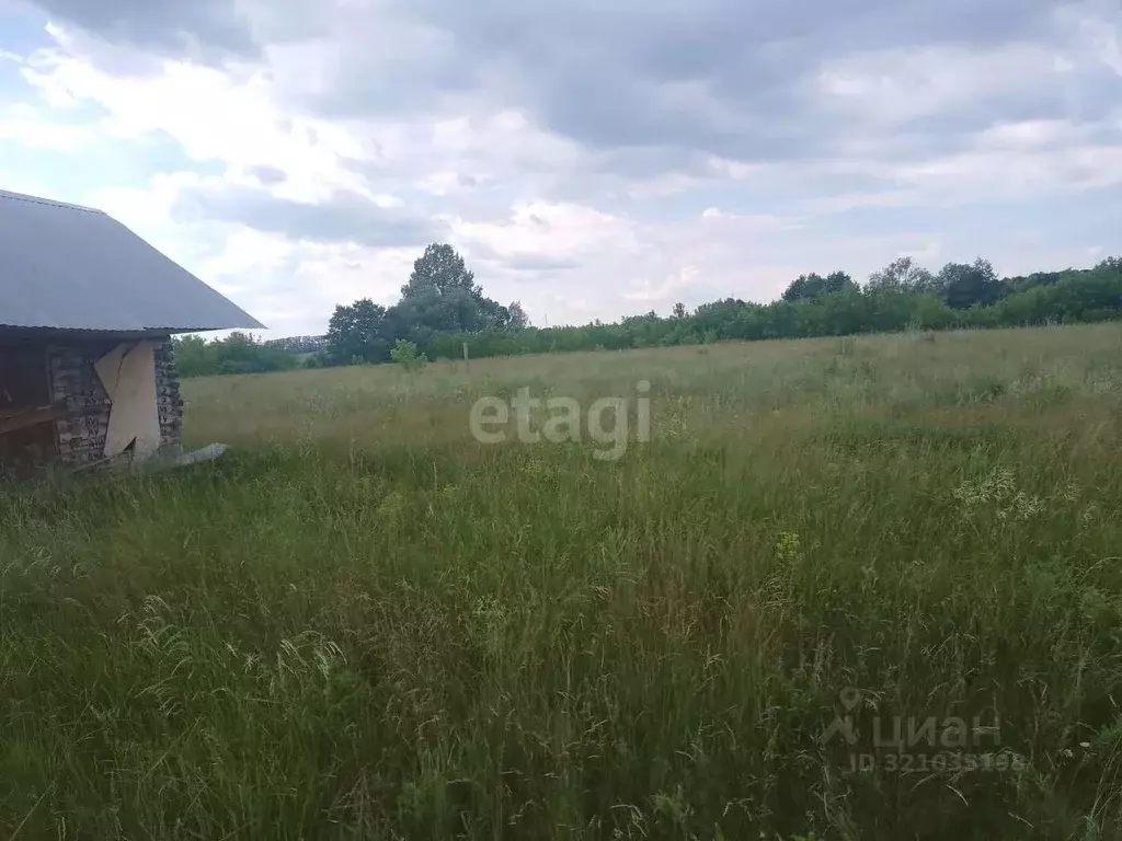 Участок в Башкортостан, Стерлитамакский район, Казадаевский сельсовет, ... - Фото 2