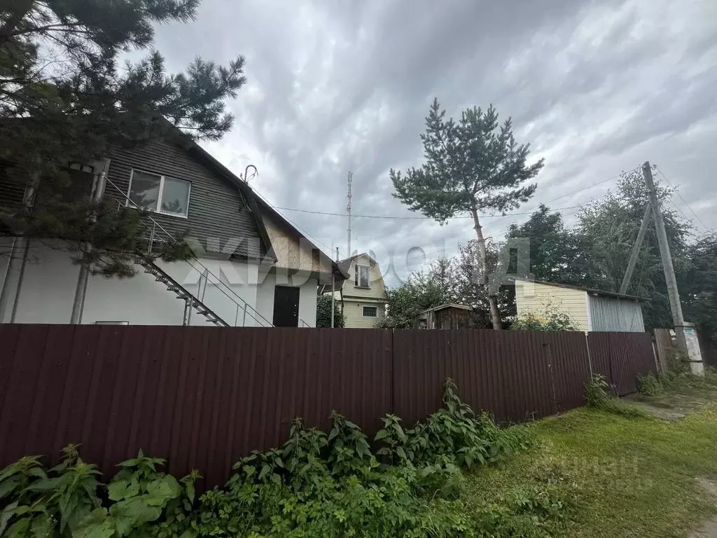 Дом в Новосибирская область, Колыванский район, Обские Просторы СНТ  ... - Фото 2