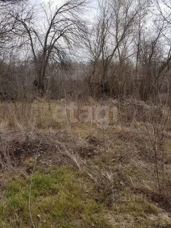 Участок в Ростовская область, Азовский район, Елизаветинское с/пос, ... - Фото 1