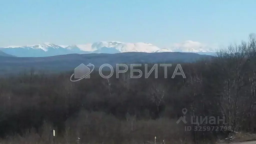 Участок в Краснодарский край, Апшеронский район, Куринское с/пос, пос. ... - Фото 2