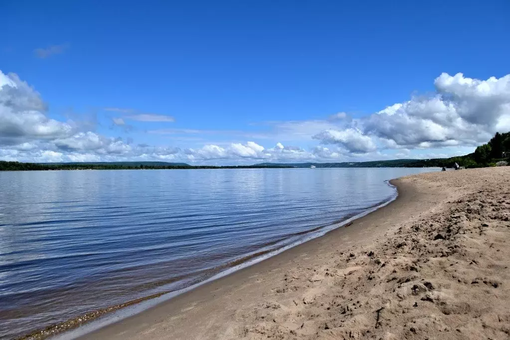 Дом в Саратовская область, с. Воскресенское ул. Шеина, 80 (55 м) - Фото 0