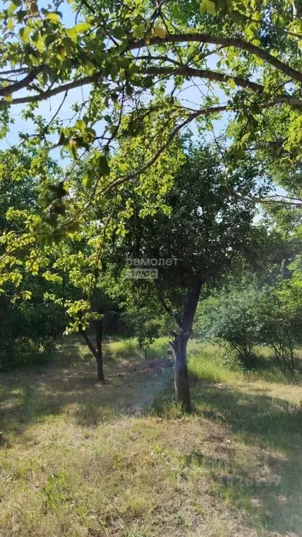 Участок в Краснодарский край, Анапа муниципальный округ, Куток хут. ... - Фото 1