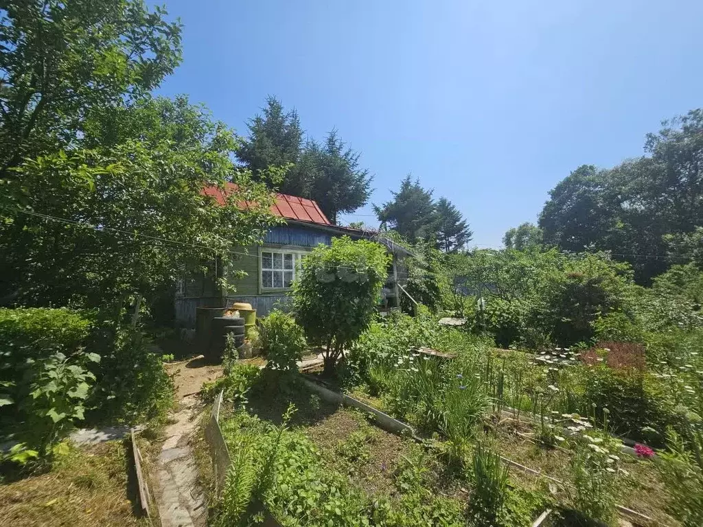 Дом в Приморский край, Надеждинский район, Эра СНТ  (19 м) - Фото 1