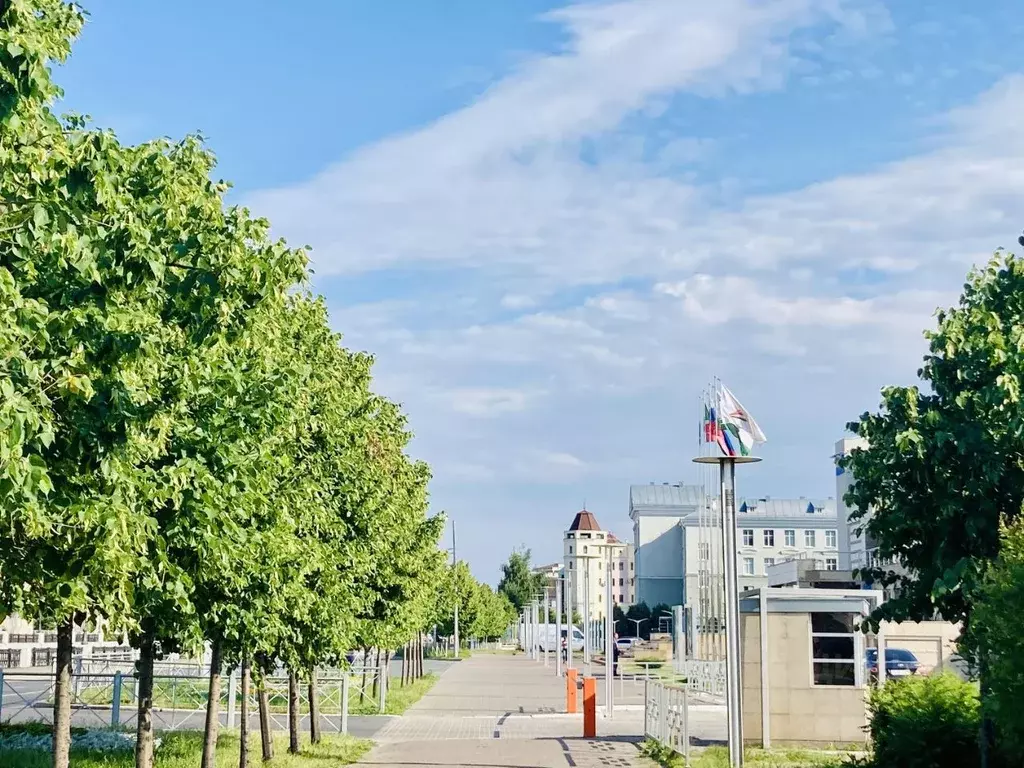 2-к кв. Татарстан, Казань Лево-Булачная ул., 16 (92.0 м) - Фото 2