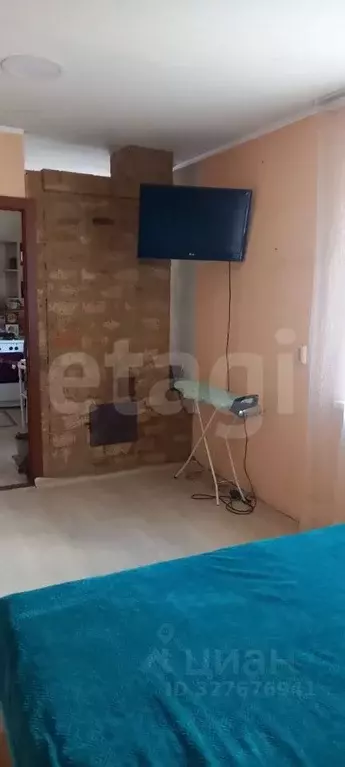 Дом в Алтай, Чемальский район, с. Чепош ул. Кучияк, 60 (24 м) - Фото 1