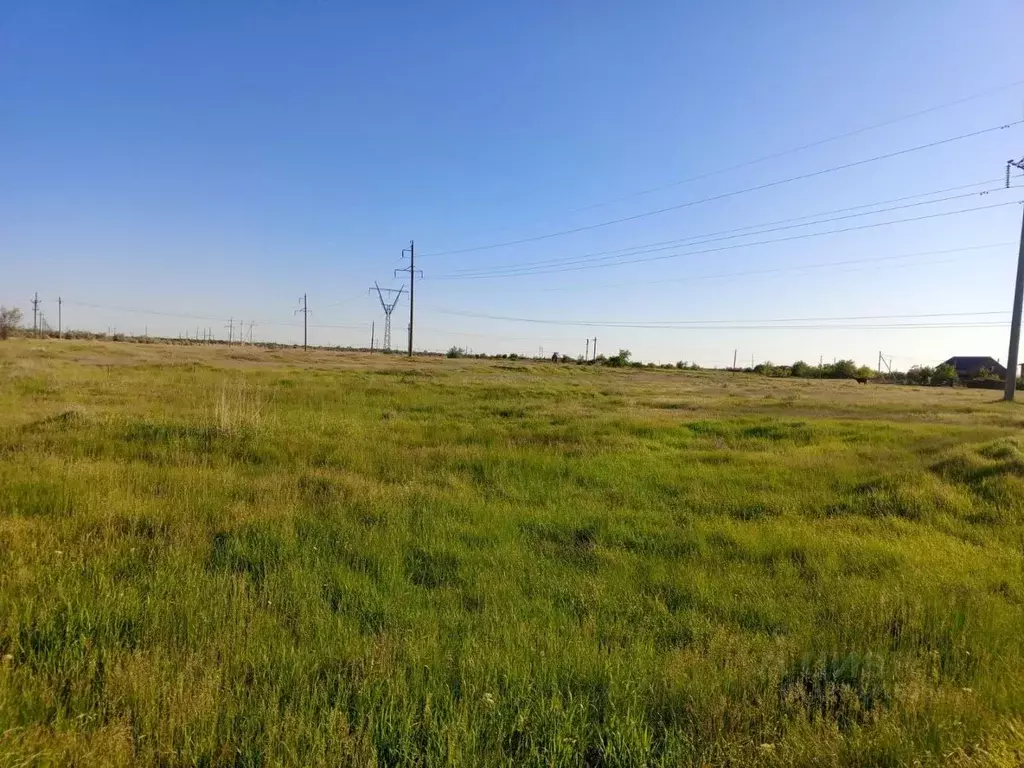 Участок в Ростовская область, Волгодонской район, Романовское с/пос, ... - Фото 2