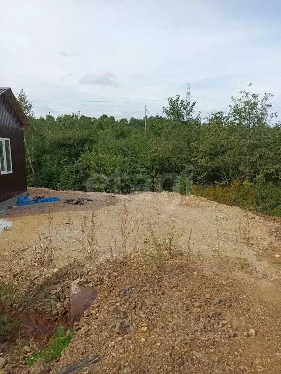 Участок в Амурская область, Благовещенский район, с. Чигири ул. Мира ... - Фото 1