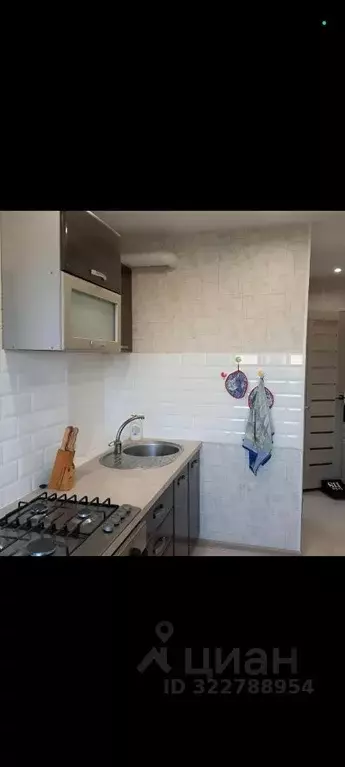 2-к кв. Пермский край, Пермь ул. Кабельщиков, 95 (46.0 м) - Фото 2