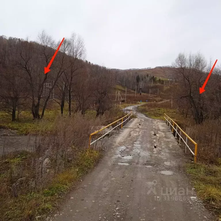 Участок в Алтайский край, Алтайский район, с. Нижнекаянча ул. ... - Фото 1