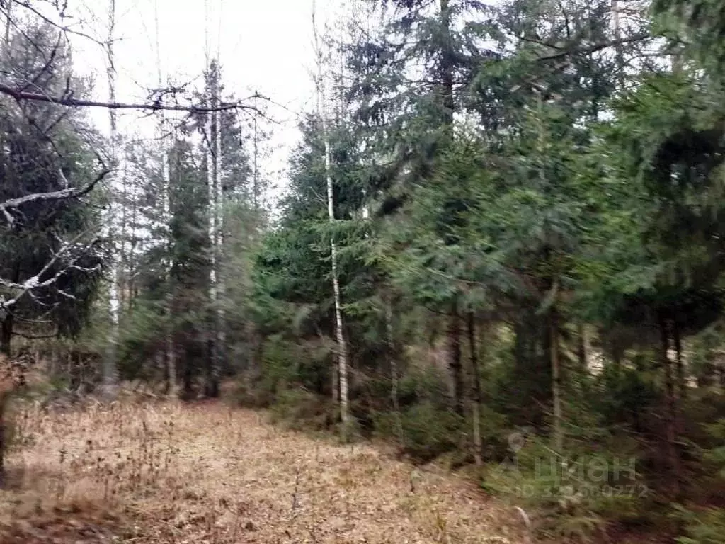 Участок в Владимирская область, Киржачский муниципальный округ, д. ... - Фото 2