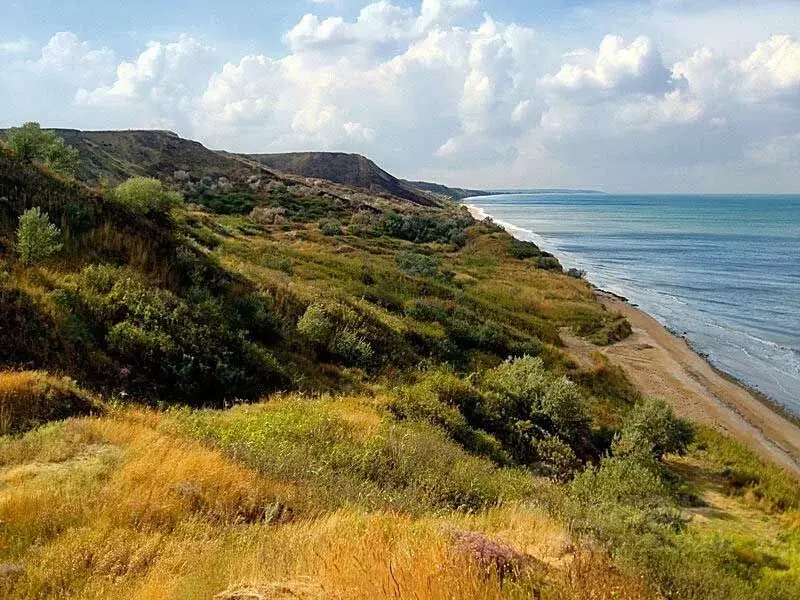 Дом в Краснодарский край, Темрюкский район, Тамань ст-ца ул. ... - Фото 2
