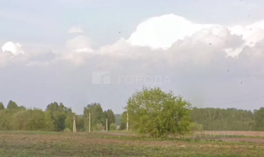 Участок в Новосибирская область, Новосибирский район, Каменский ... - Фото 0