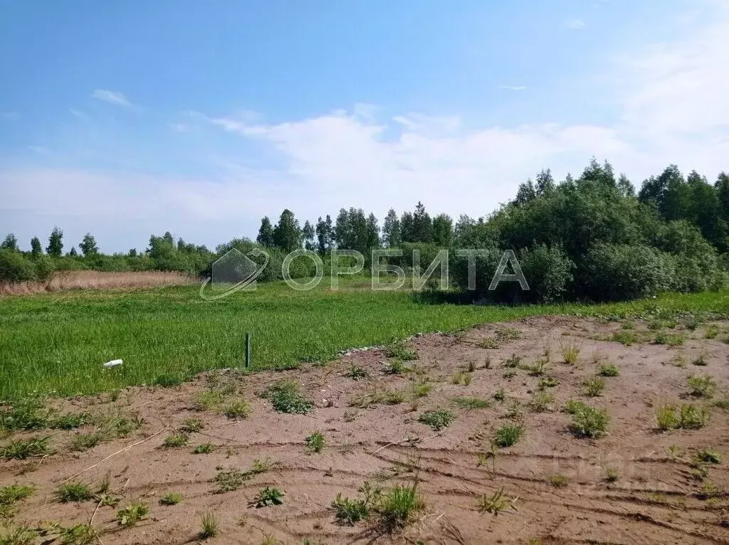 Участок в Тюменская область, Тюмень Садовое товарищество Липовый ... - Фото 1