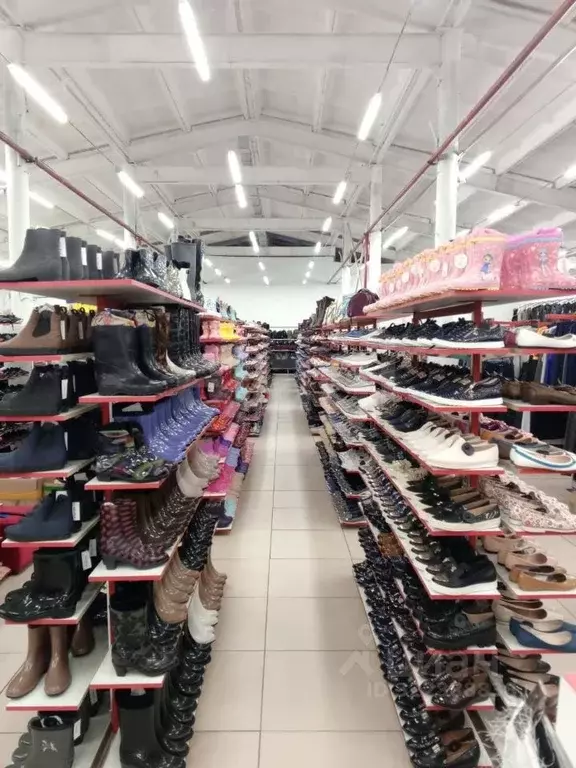 Торговая площадь в Ямало-Ненецкий АО, Новый Уренгой Таежная ул., 224 ... - Фото 1