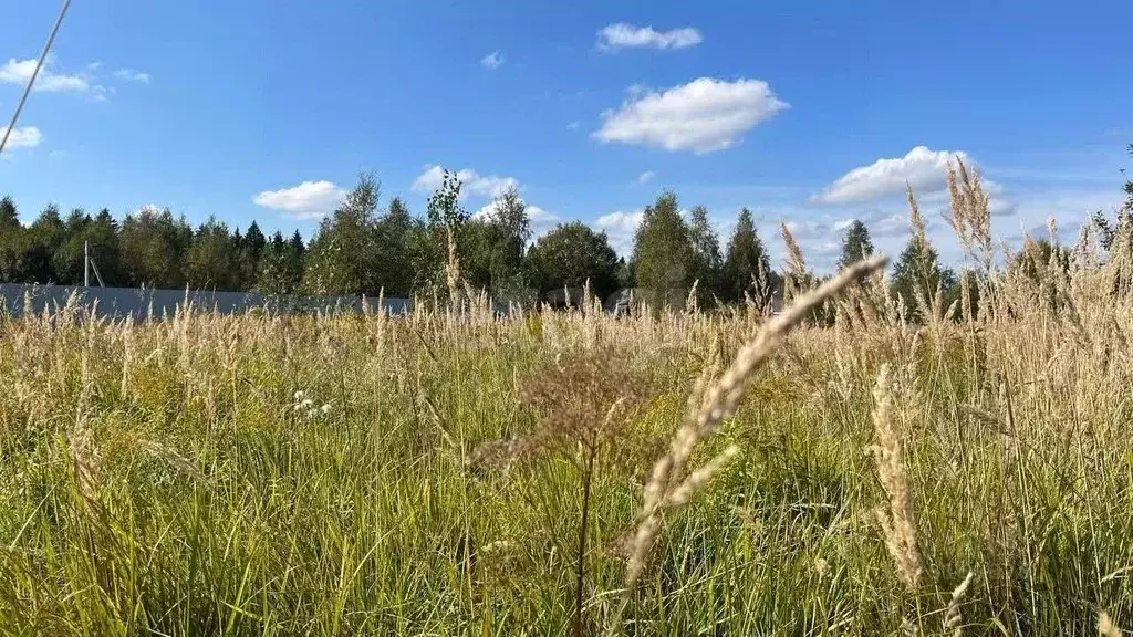 Участок в Москва Европейская долина-2 ДНП, пер. 4-й Двинский, 14 ... - Фото 1