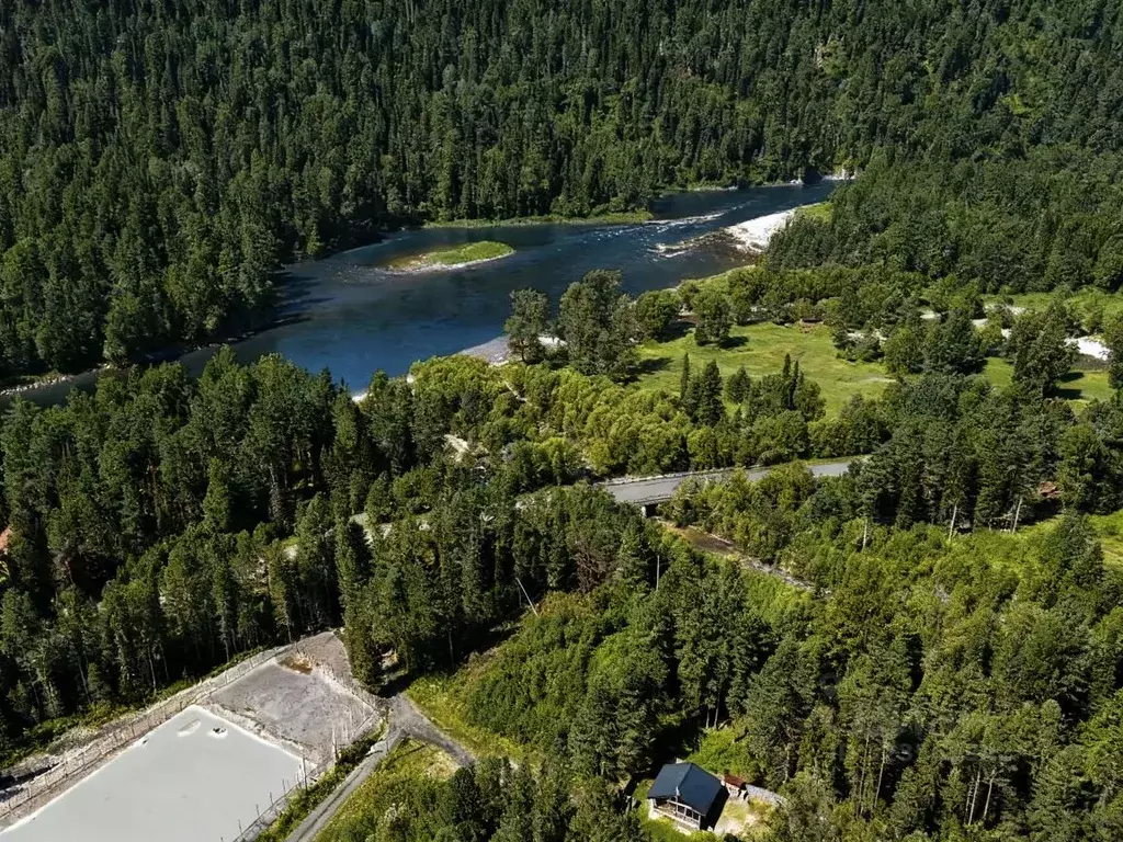 Участок в Алтай, Турочакский район, с. Озеро-Куреево Береговая ул. ... - Фото 0