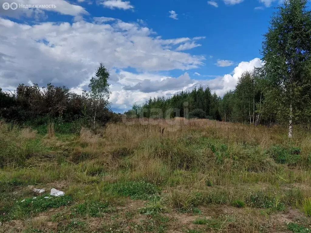Участок в Выкса, Лазурная улица (9.82 м) - Фото 2