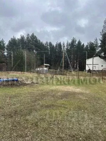 Участок в Ленинградская область, Приозерский район, Раздольевское ... - Фото 1