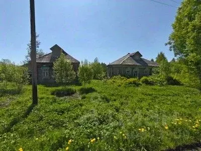 Участок в Владимирская область, Судогодский муниципальный округ, д. ... - Фото 1