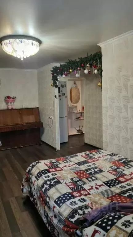 2-к кв. Московская область, Пушкинский городской округ, пос. Доброе ... - Фото 2