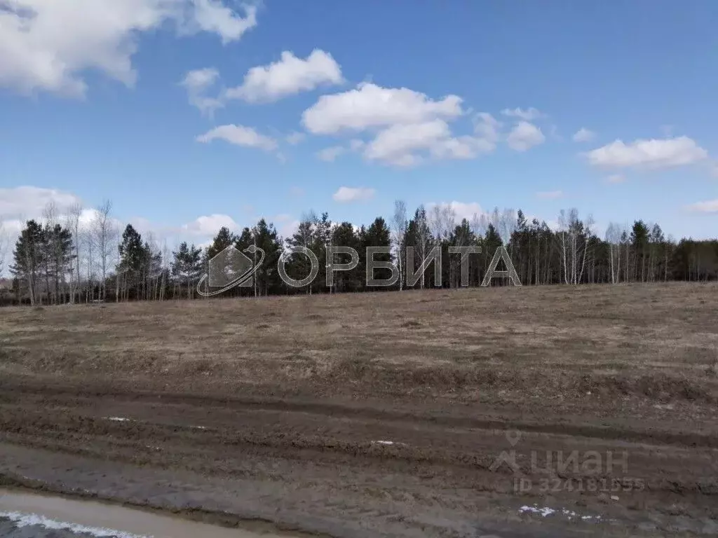 Участок в Тюменская область, Нижнетавдинский муниципальный округ, пос. ... - Фото 1