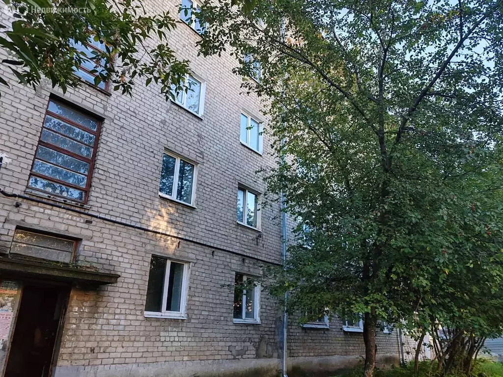 Квартира-студия: Пермь, Ласьвинская улица, 56 (19 м) - Фото 1