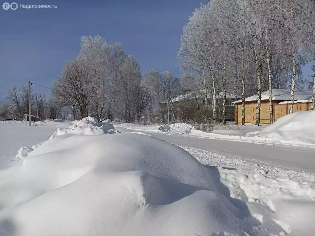 Участок в Ярославский муниципальный округ, деревня Шебунино, Школьная ... - Фото 2
