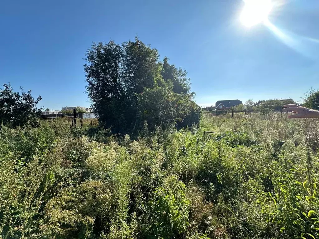 Участок в Московская область, Богородский городской округ, с. ... - Фото 1