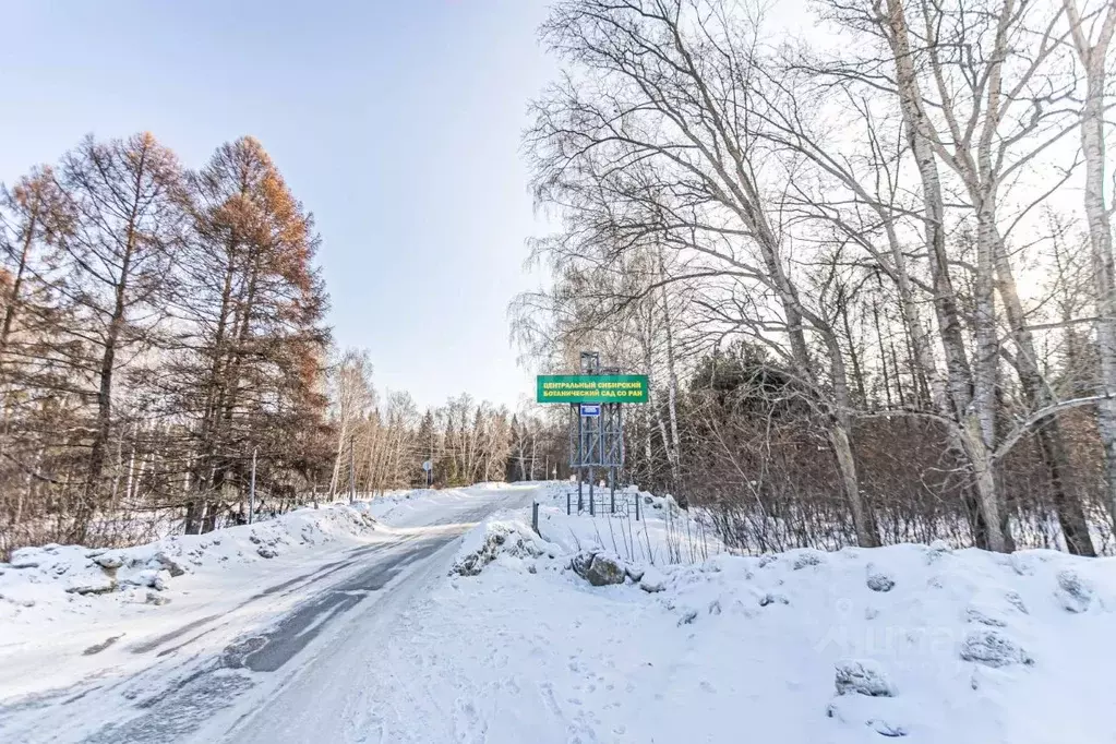 Участок в Новосибирская область, Новосибирский район, Барышевский ... - Фото 1